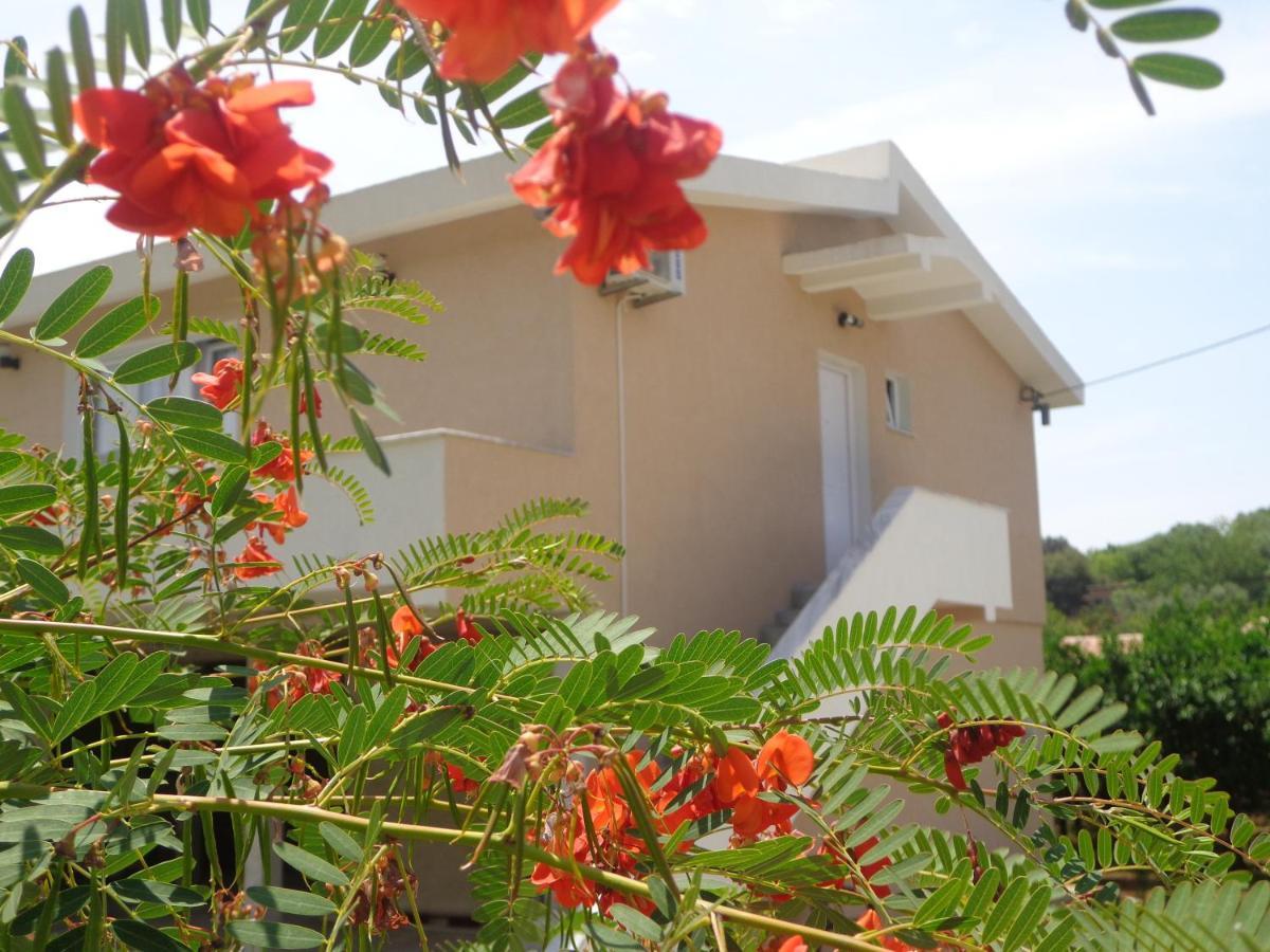 Apartments Pepdjonovic Ulcinj Eksteriør bilde