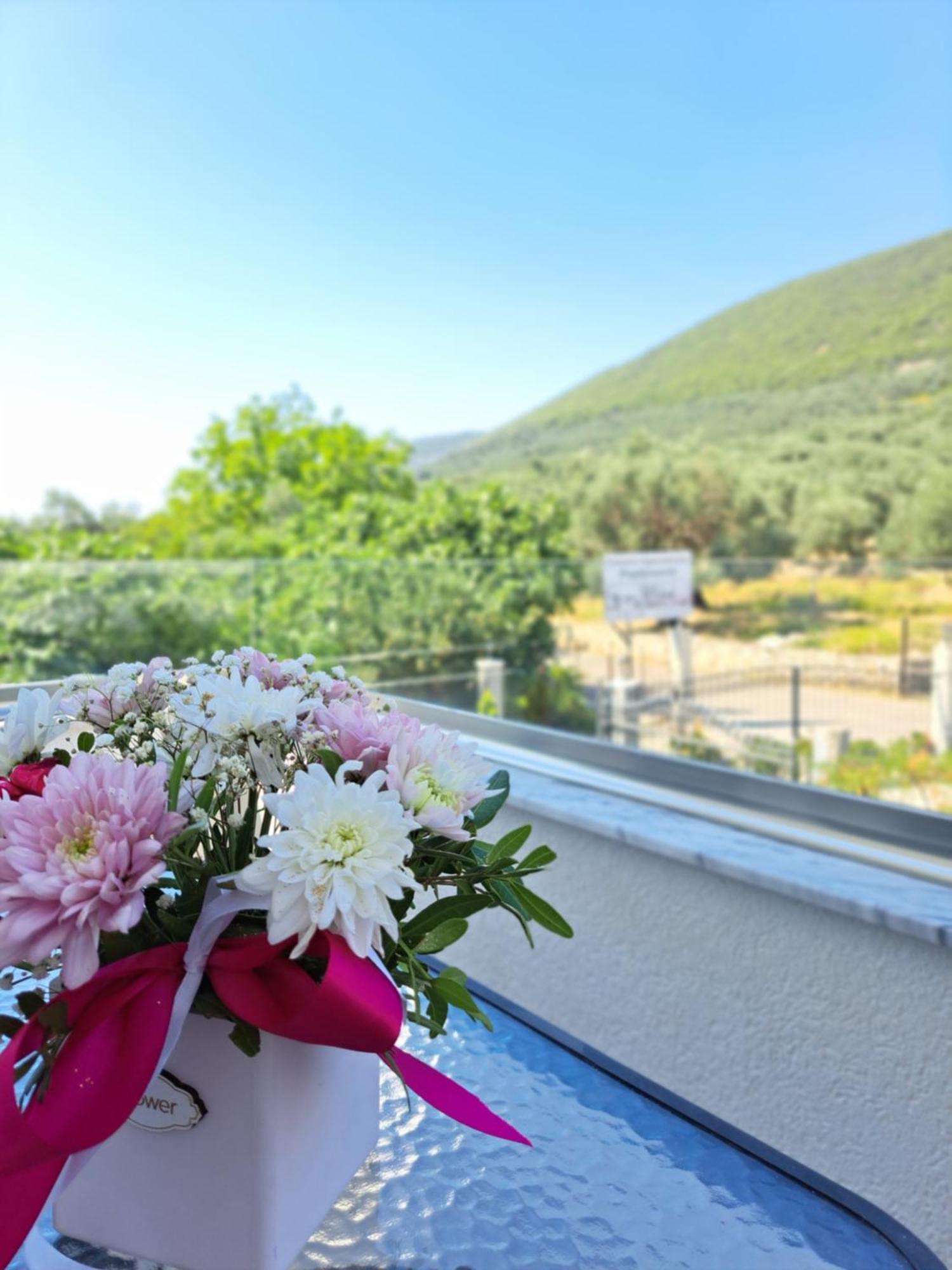 Apartments Pepdjonovic Ulcinj Eksteriør bilde