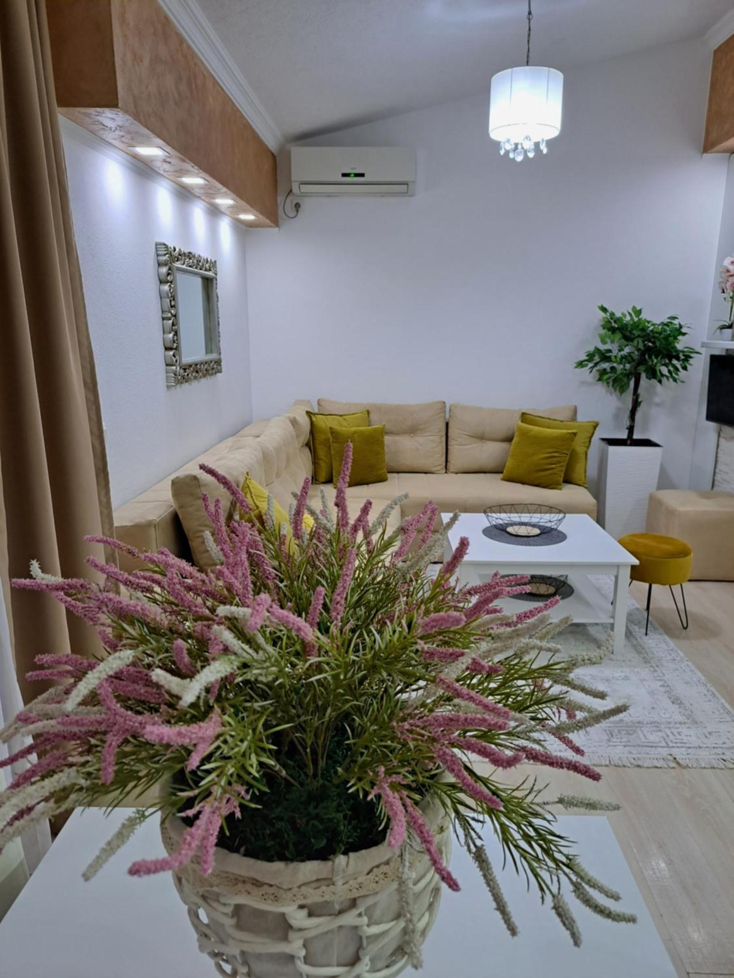 Apartments Pepdjonovic Ulcinj Eksteriør bilde